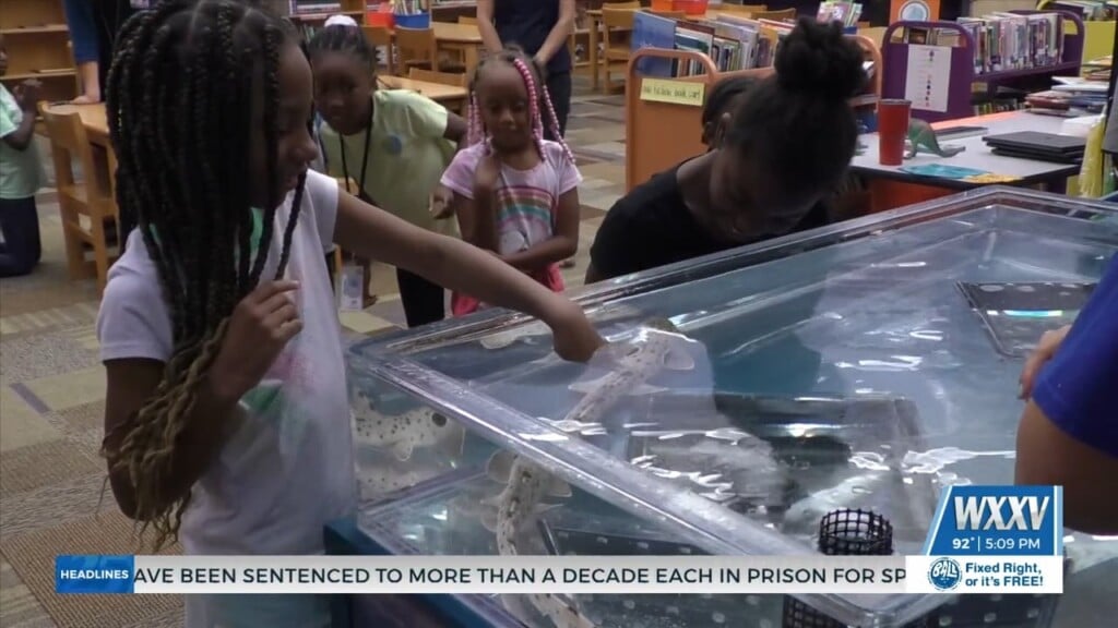 28th Street Elementary Students Learn And Engage With Shark From Ms Aquarium