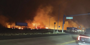 Wildfire