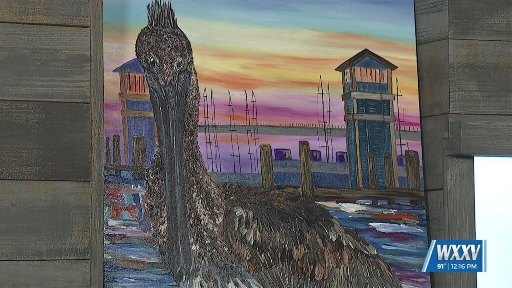 Coastal Life Exhibit At Gallery 782