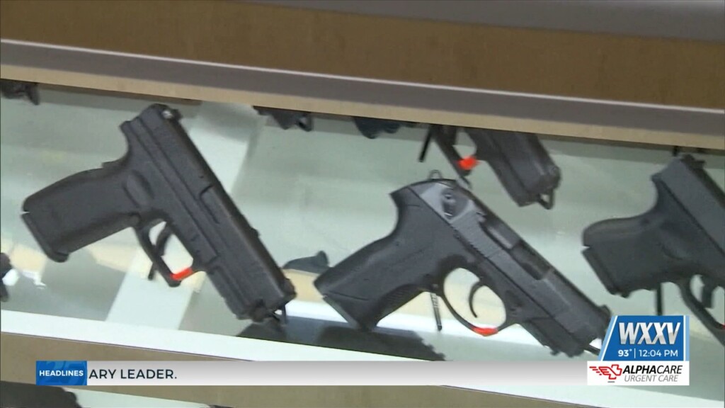 Second Amendment Tax Holiday Begins