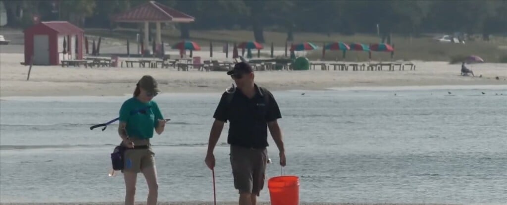 Mississippi Aquarium Holds Beach Clean Up