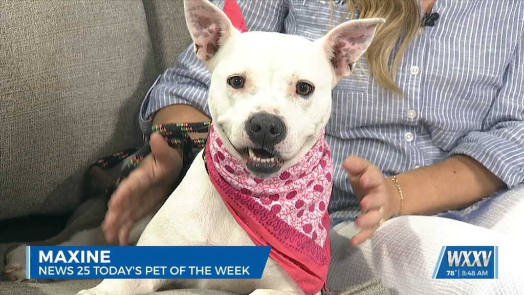 News 25’s Pet Of The Week: Maxine Is Looking For A Forever Home