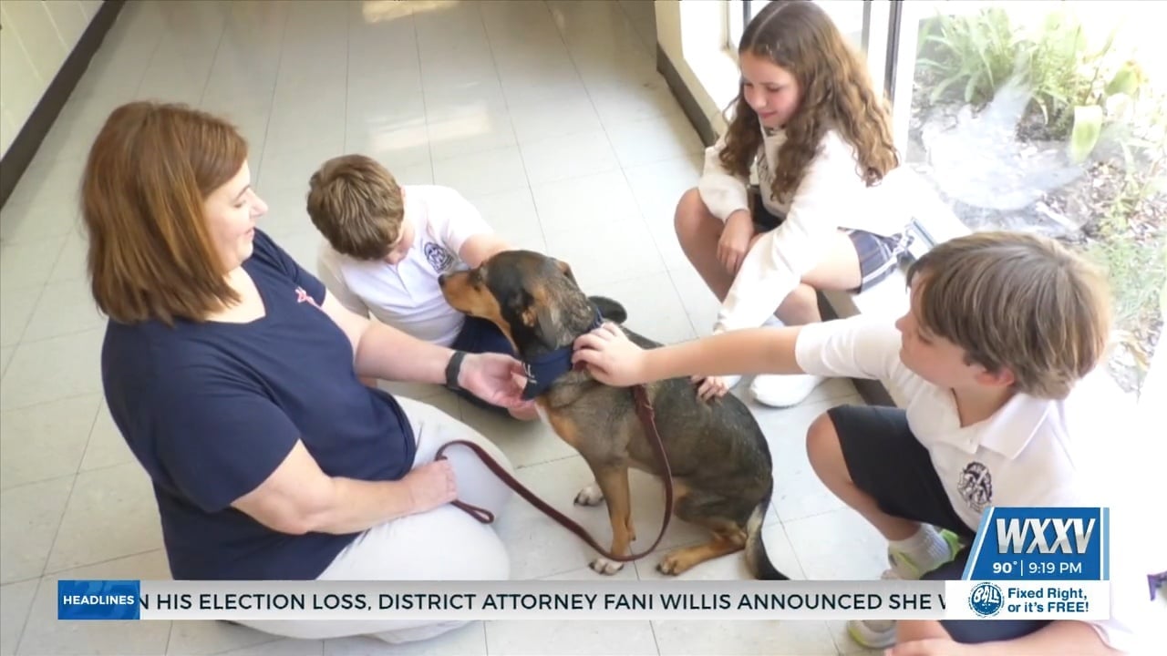 St. Alphonsus Catholic School gets a second therapy dog - WXXV News 25