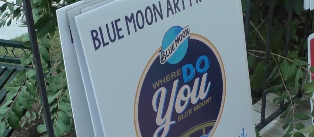 Applications Open For Blue Moon Art Project For Peter Anderson Festival