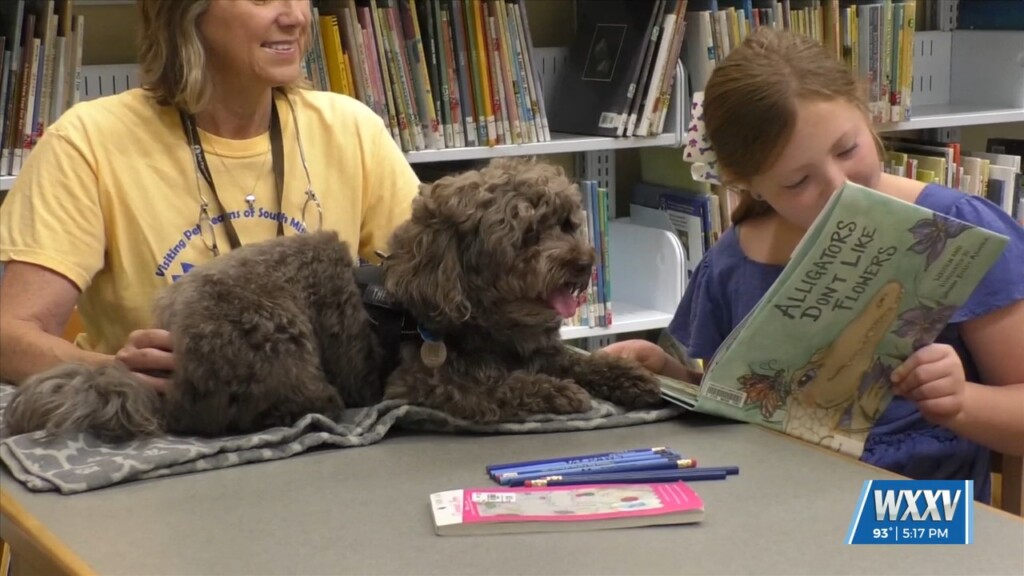 Local Children Read To Therapy Dogs Through The ‘sit, Stay, Read Literacy Program’