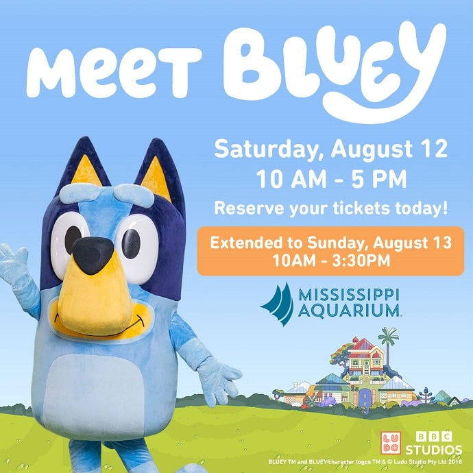 Bluey