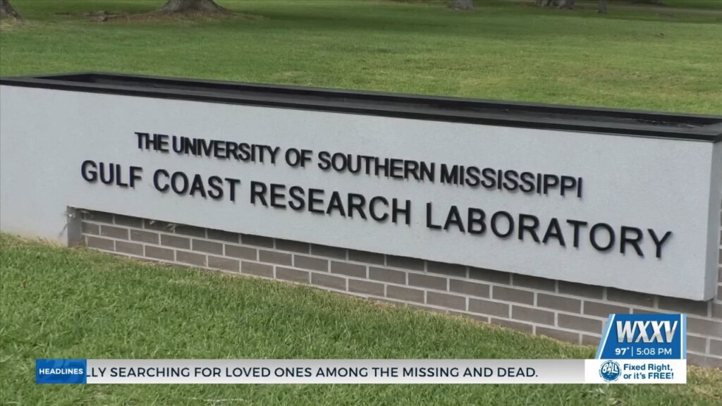 Usm Gulf Coast Research Laboratory Names New Director