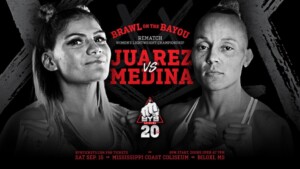 Brawl On The Bayou Flyer