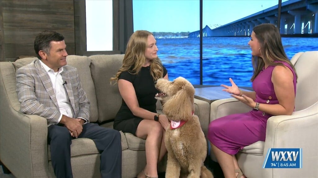 American Heart Association Visits Wxxv For Heart Walk This Weekend