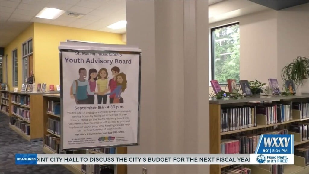 Teens Getting Involved With St. Martin Public Library