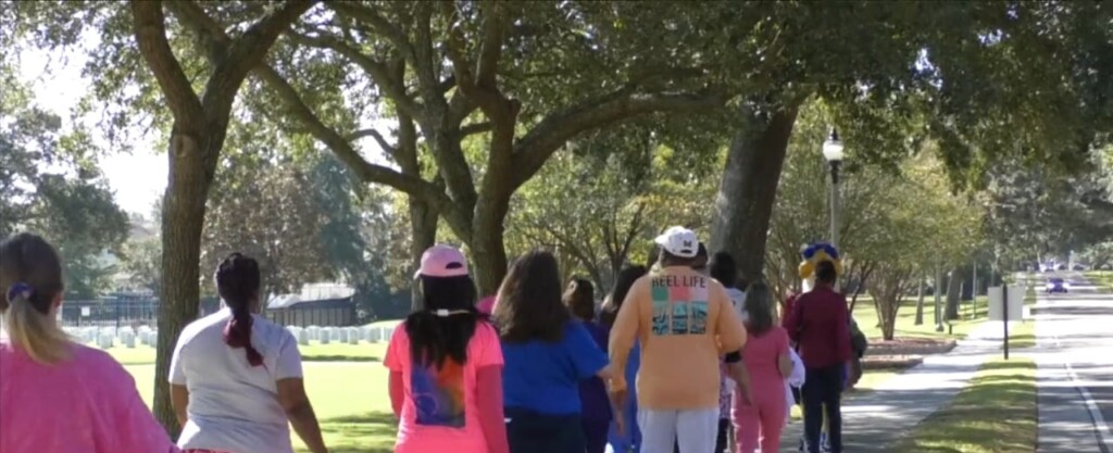 Pcc Walk A Thon At The Biloxi Va Honors Person Centered Care