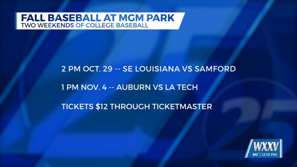 Fall Baseball At Mgm Park