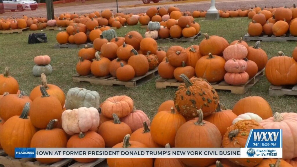Pumpkin Patch Now Open On Lemoyne Boulevard