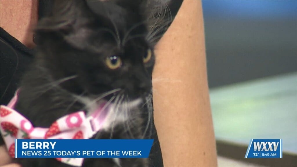 News 25’s Pet Of The Week: Berry Is Looking For A Forever Home