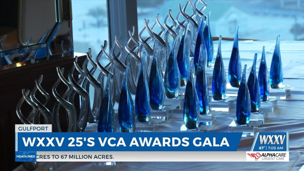 Vca Awards Gala