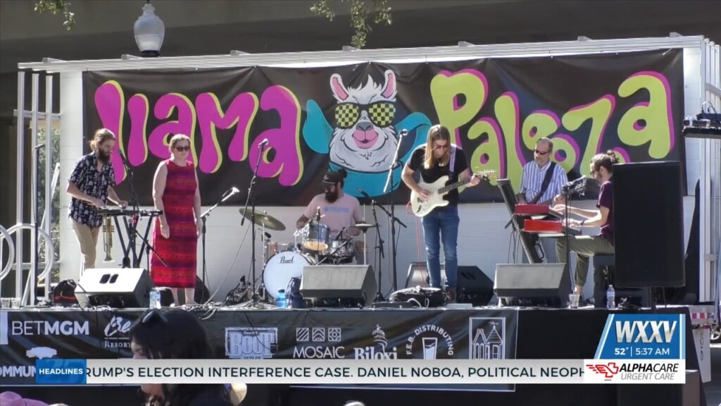 Fly Llama Brewery Holds Third Annual Llamapalooza