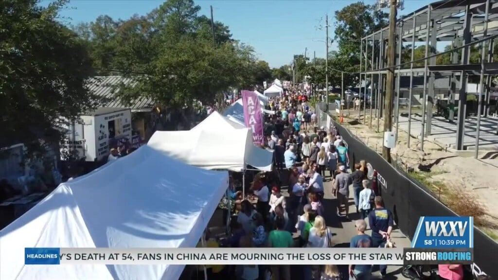 Peter Anderson Festival In Ocean Springs Draws Thousands