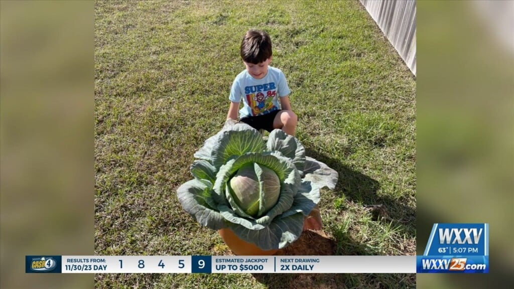 Local Student Grows Biggest Cabbage