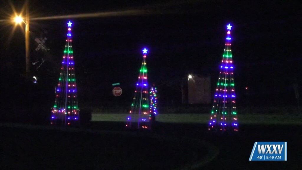 Mgccc Festival Of Lights