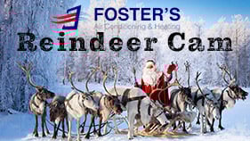 Reindeer Cam 2025 Featured Content Graphic Copy