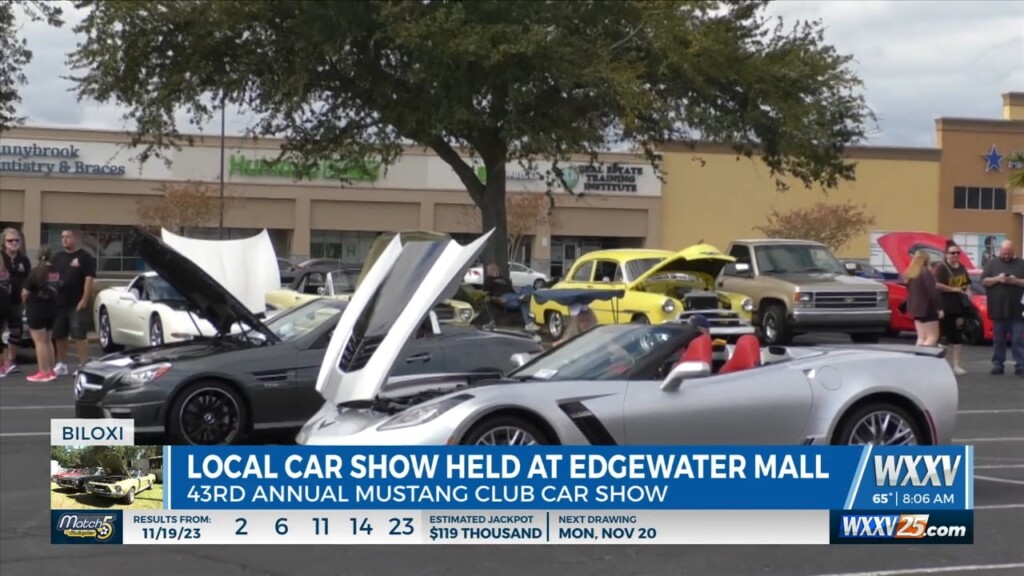 43rd Annual Mustang Club Car Show