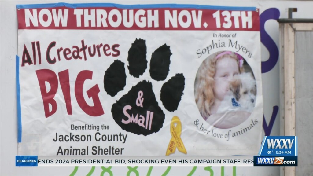 Jackson County Animal Shelter Holds ‘all Creatures Big And Small’ Adoption Drive