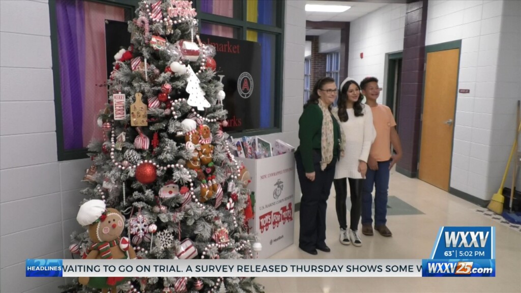 North Woolmarket Student Council Collect Toys For Children