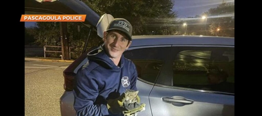 Pascagoula First Responders Team Up To Save Tiny Kitten