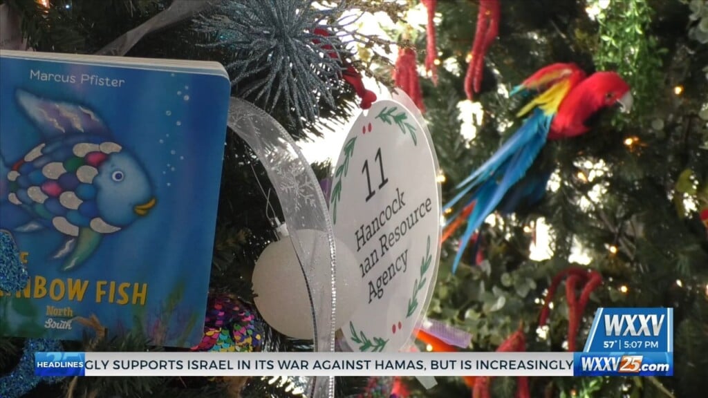 Local Charities Create "forest Of Dreams" At Mississippi Aquarium