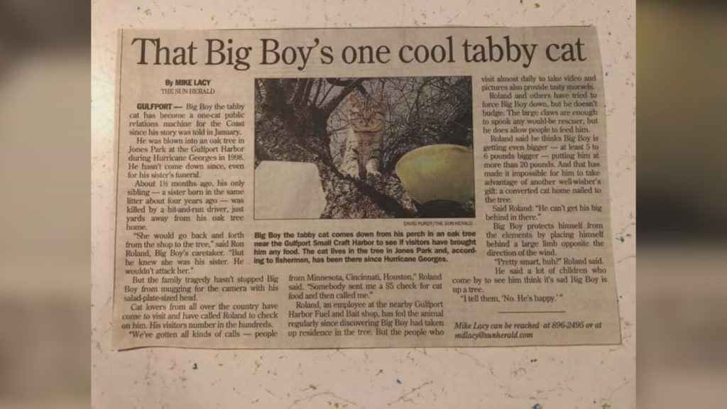 Big