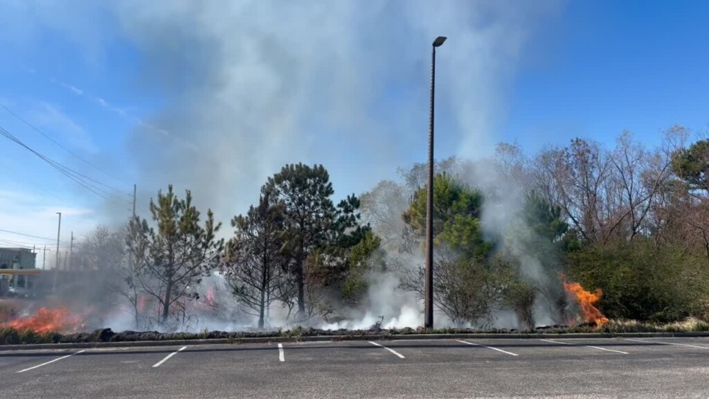 Small Brush Fire