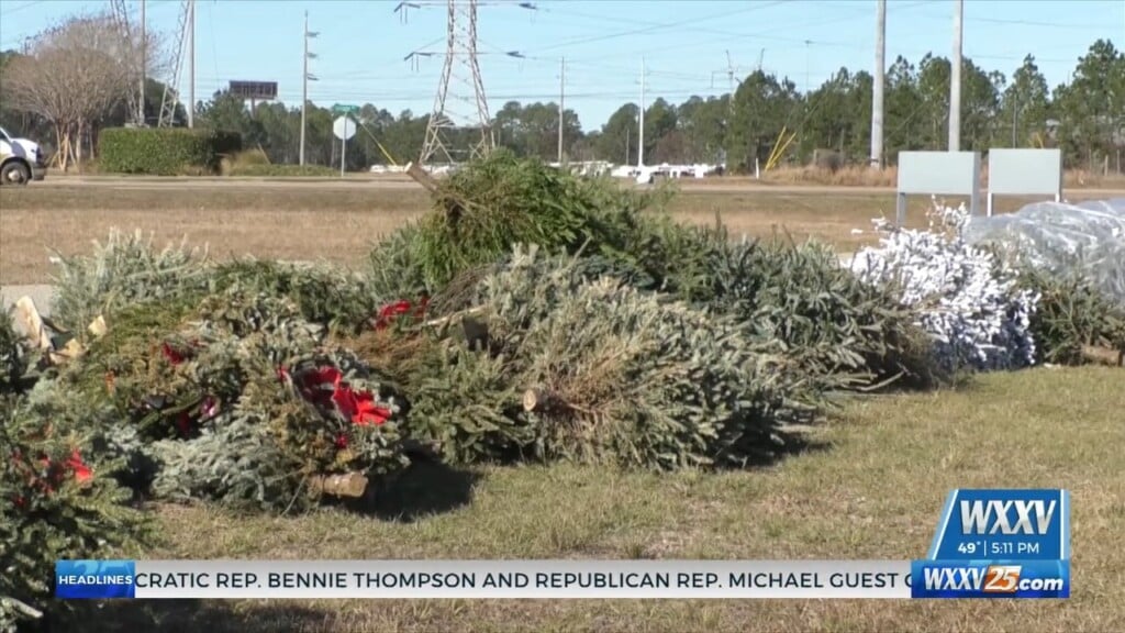 Christmas Tree Recycling Program