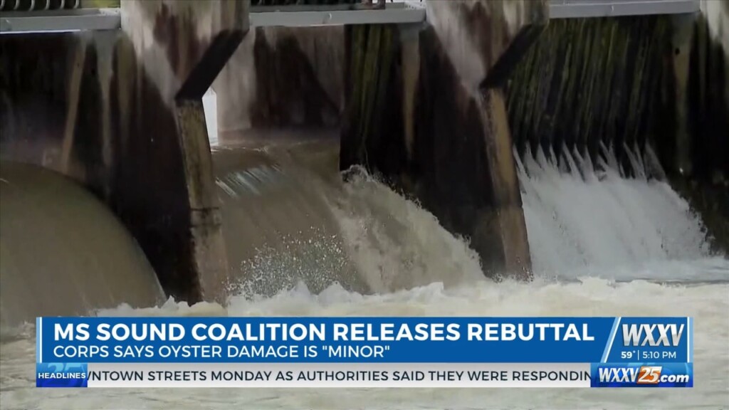 U.s. Army Corps Of Engineers Says Bonnet Carré Spillway Caused "minor" Impact. Mississippi Sound Coalition Disagrees.