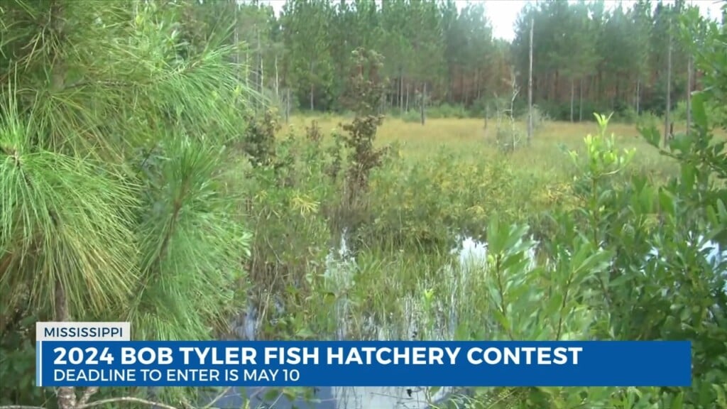 The 2024 Bob Tyler Fish Hatchery Youth Art Contest Has Been Announced