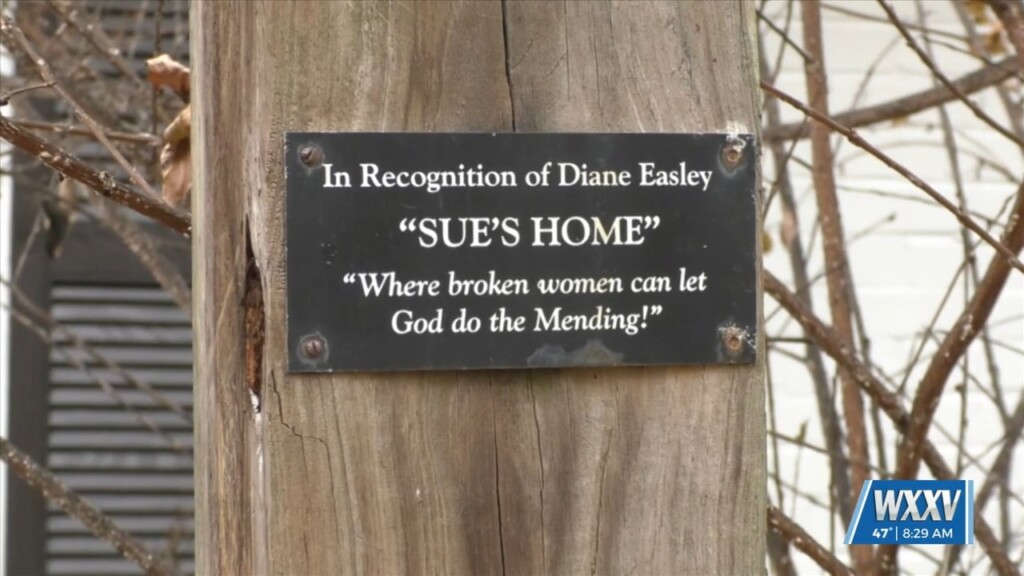 Meggan Monday: Sue's Home