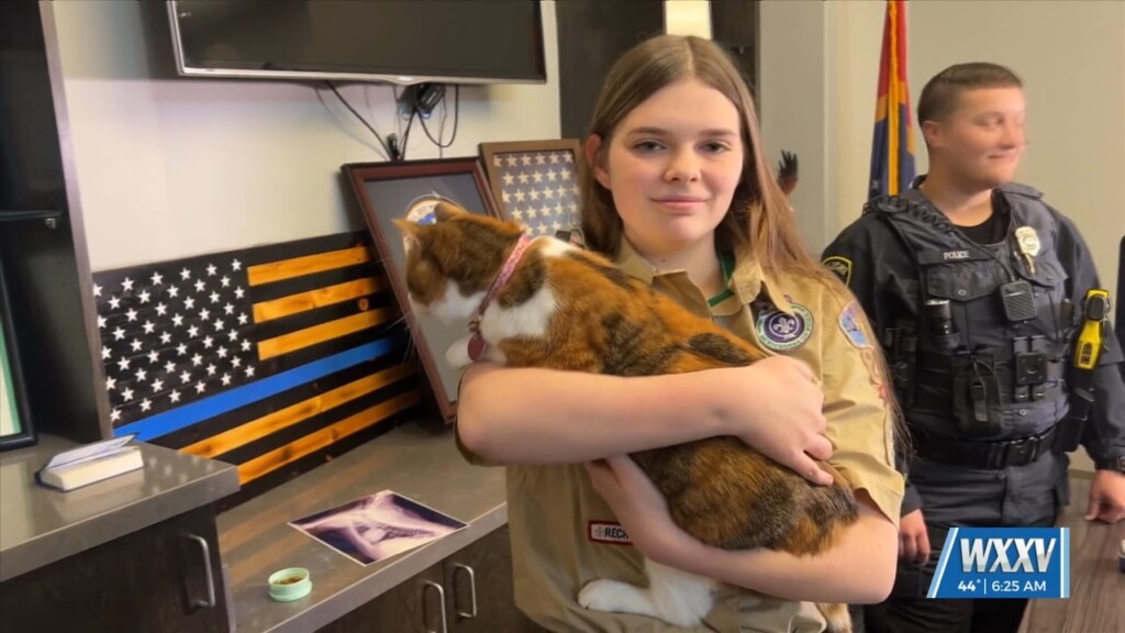 Meggan Monday: Local Scout Leads Microchip Drive Project