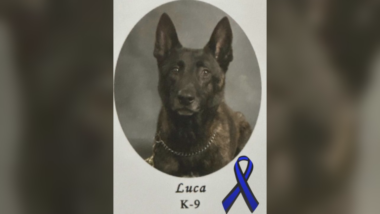 Luca