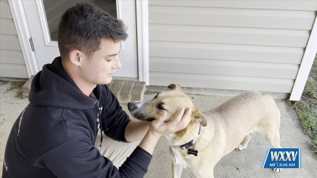 Meggan Monday: Seabee Adopts Dog He Found On Deployment