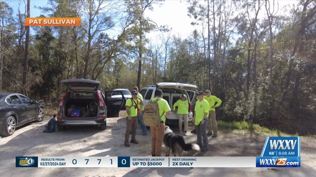 What To Do And How Police Help When Searching For Missing Elderly People