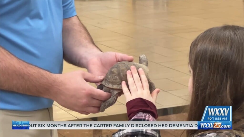 Hattiesburg Zoo Stops On The Coast