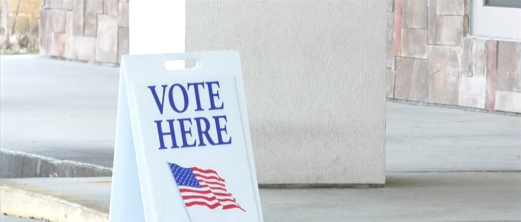 Importance Of Voting On Primary Election Day