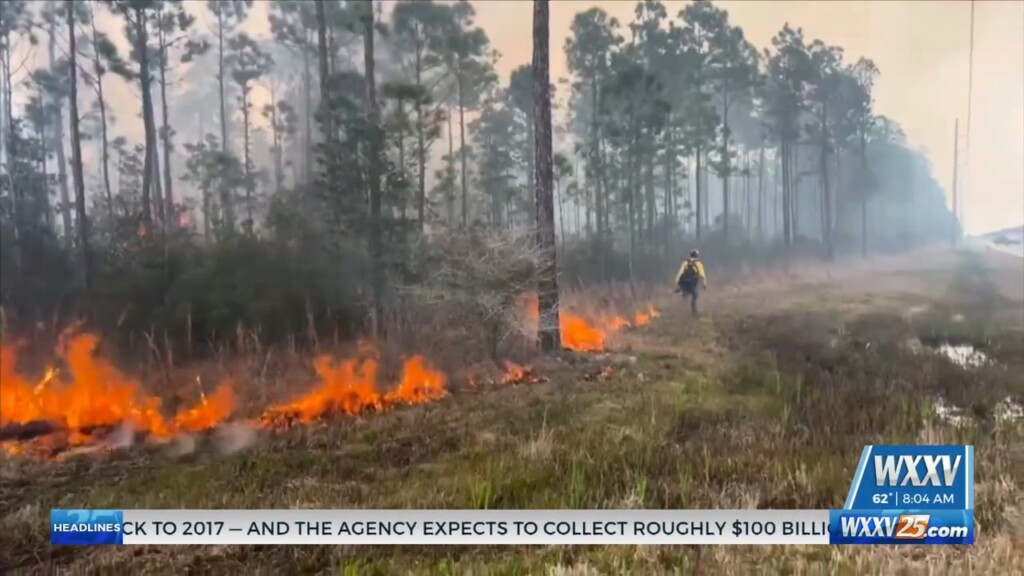 Hancock County Woods Fire Update