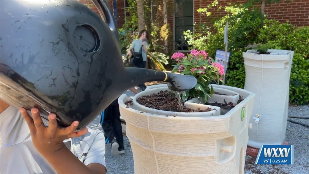Meggan Monday: Mississippi Power Funds Garden Project At Pass Road Elementary