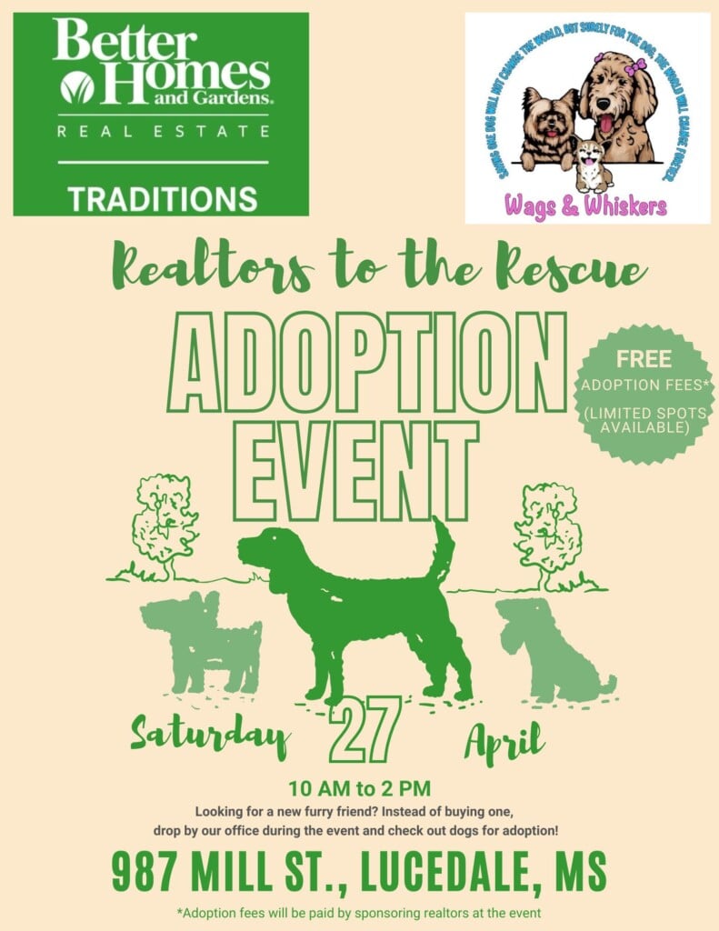 Vintage Adoption Event Flyer 1