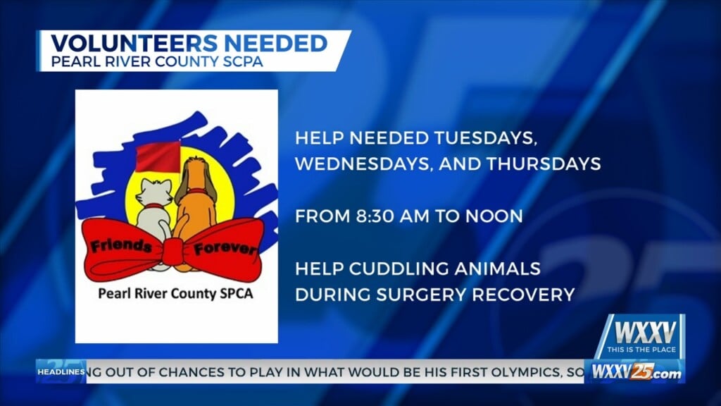 Pearl River County Scpa Looking For Volunteers