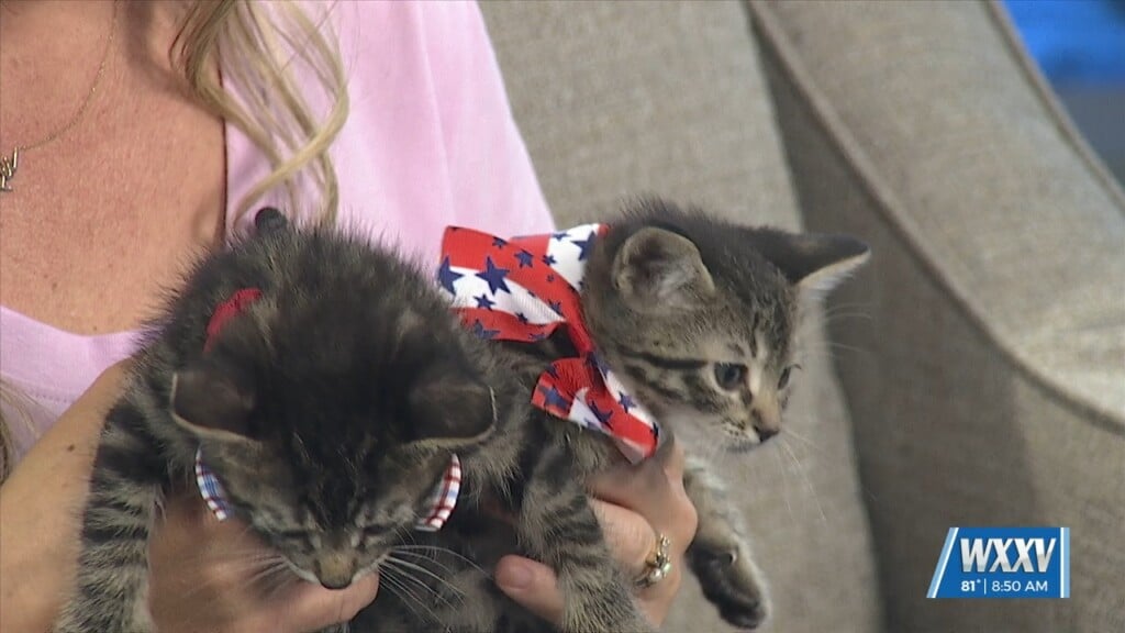 Pet Of The Week: Robert And Rosie Are Looking For Forever Homes!