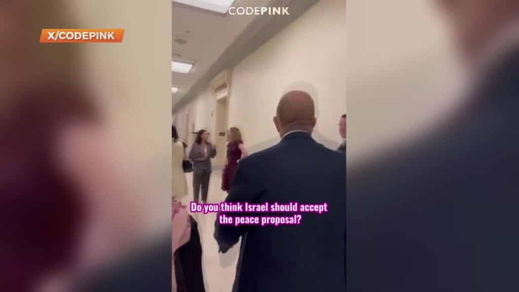 Activist Says Us Congressman Knocked Cellphone From Her Hand As She Asked About Israel Hamas War