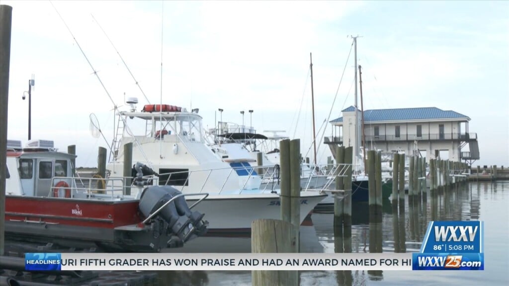 Shrimp Season Officially Kicks Off In Mississippi