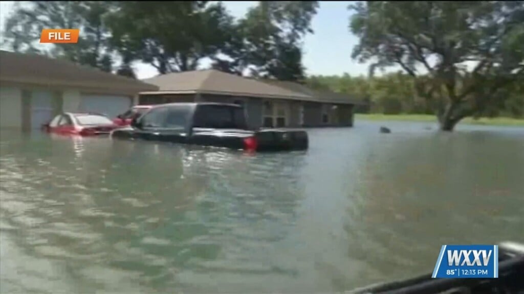 Tips To Prepare For Hurricane Season