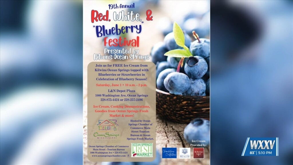 19th Annual Red, White, And Blueberry Festival In Ocean Springs